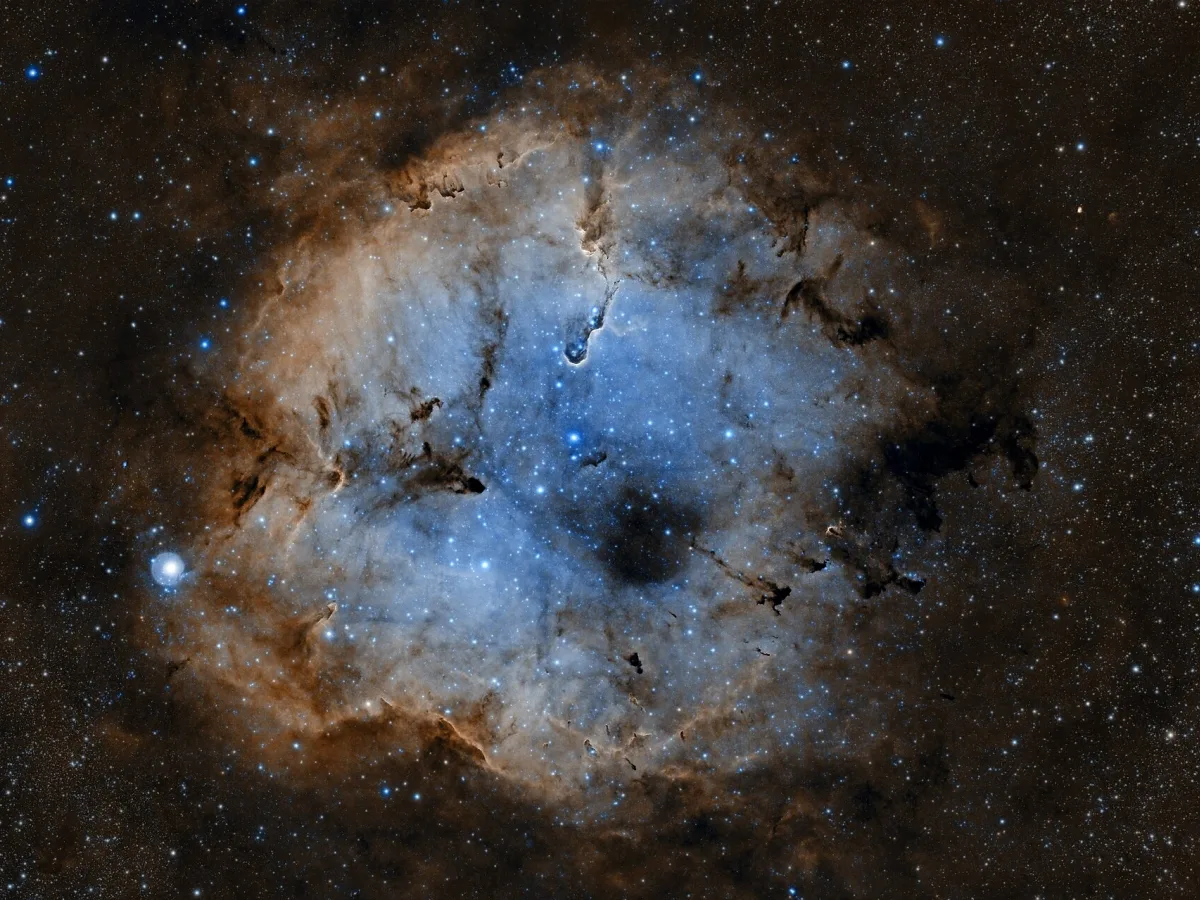 Elephant's Trunk Nebula